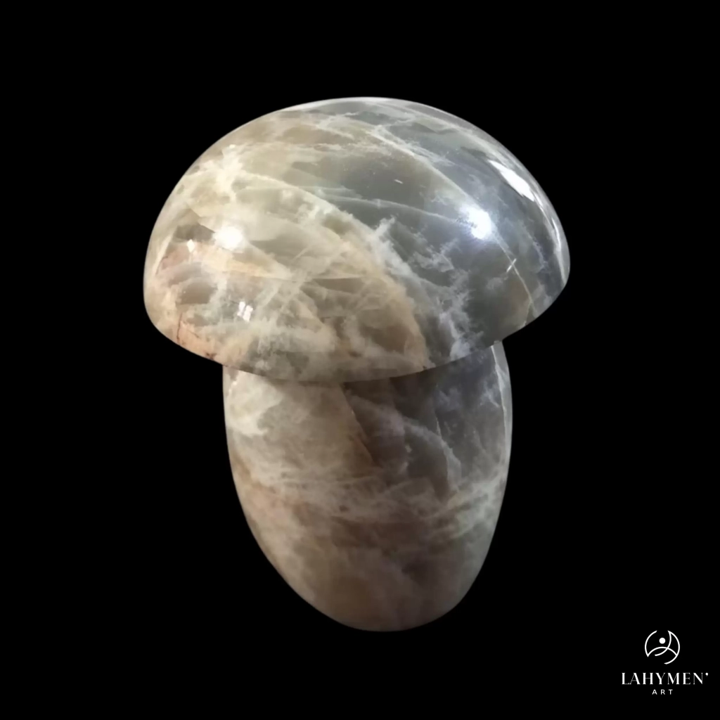 Champignon Microcline