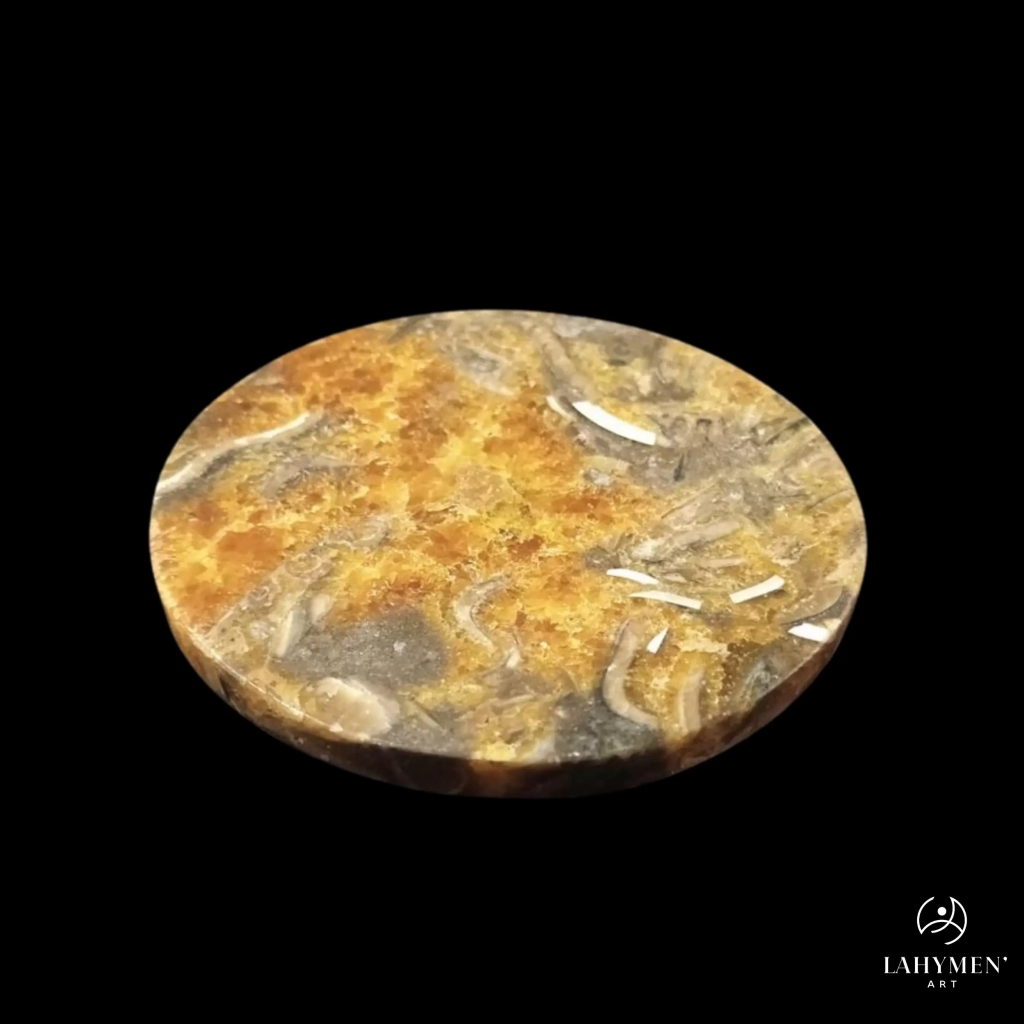 Sous verre ammonite
