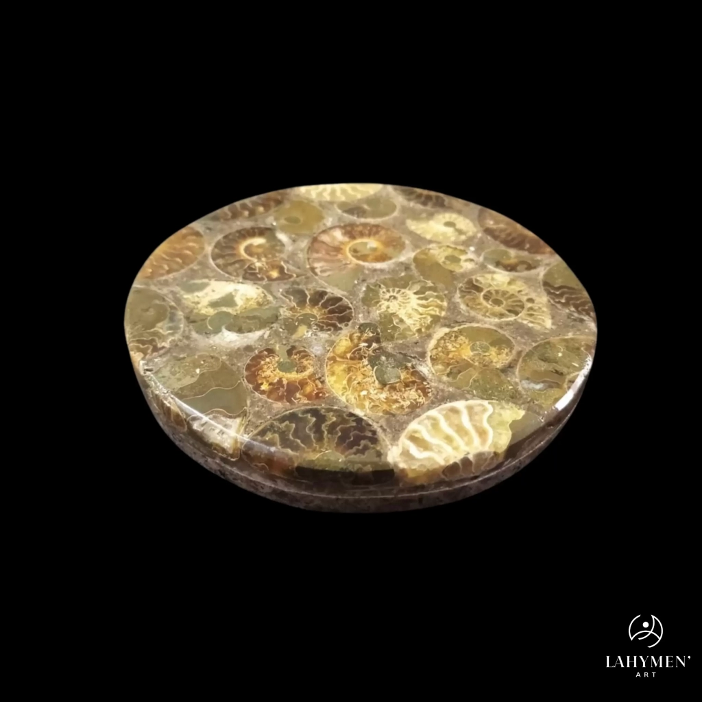 Sous verre ammonite double