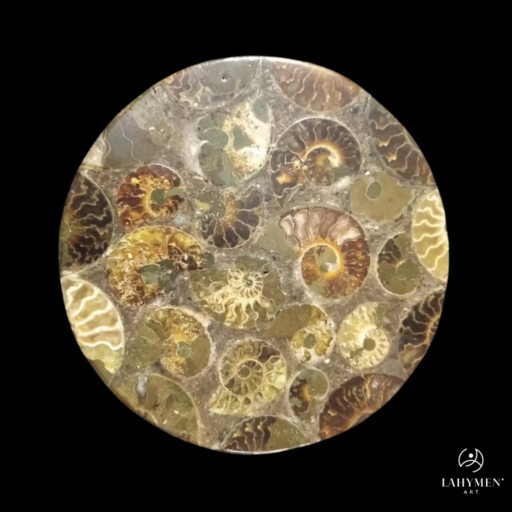 Sous verre ammonite double