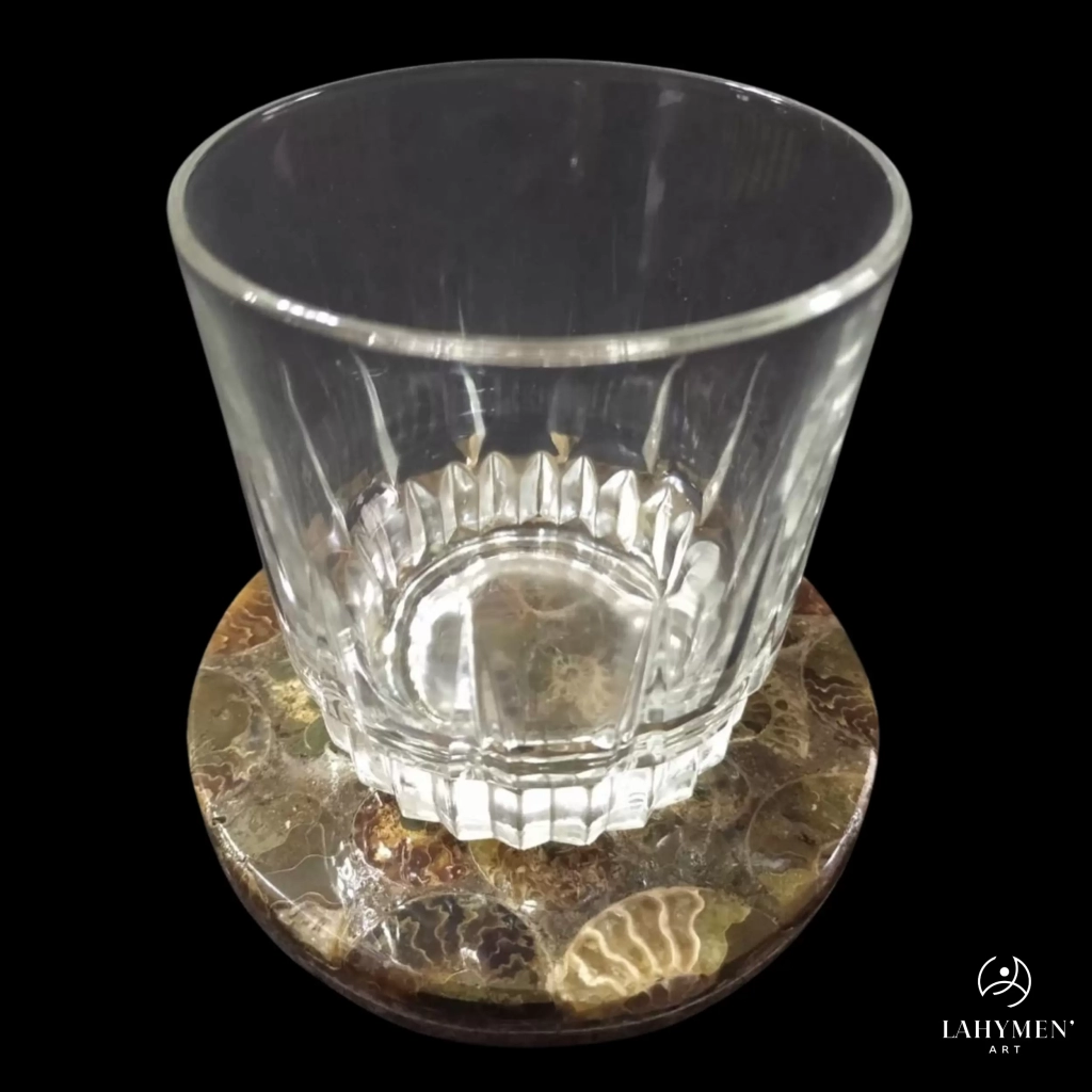 Sous verre ammonite double