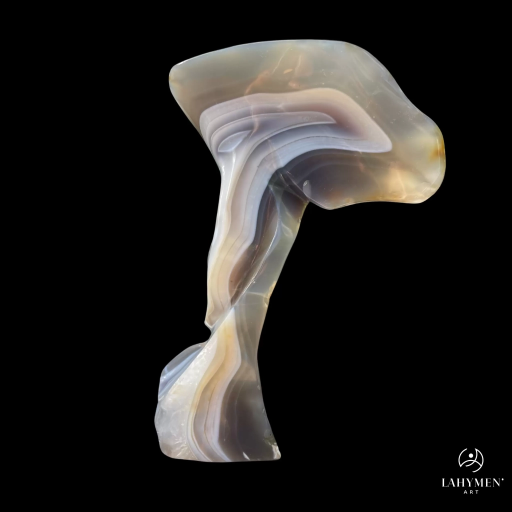 Forme libre contemporaine (22)