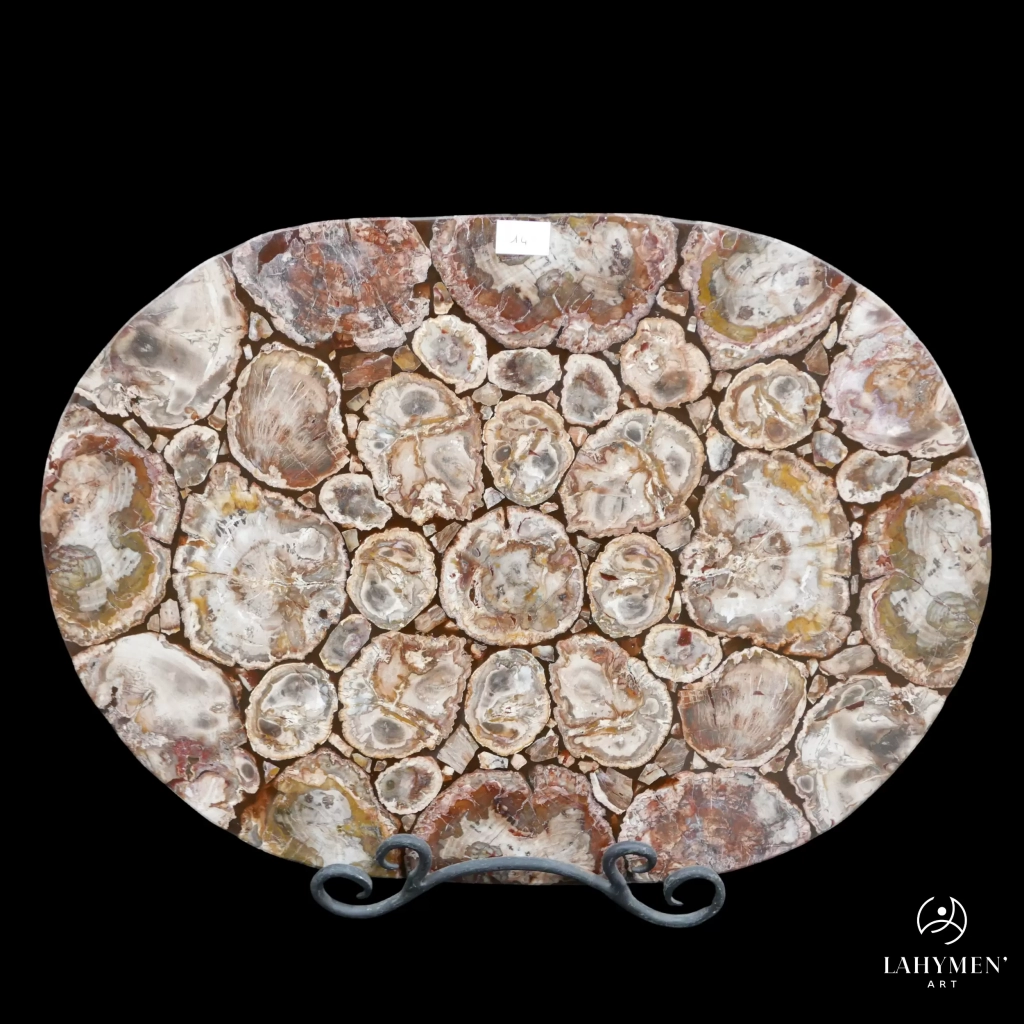 Plateau de table oval bois silicifiés