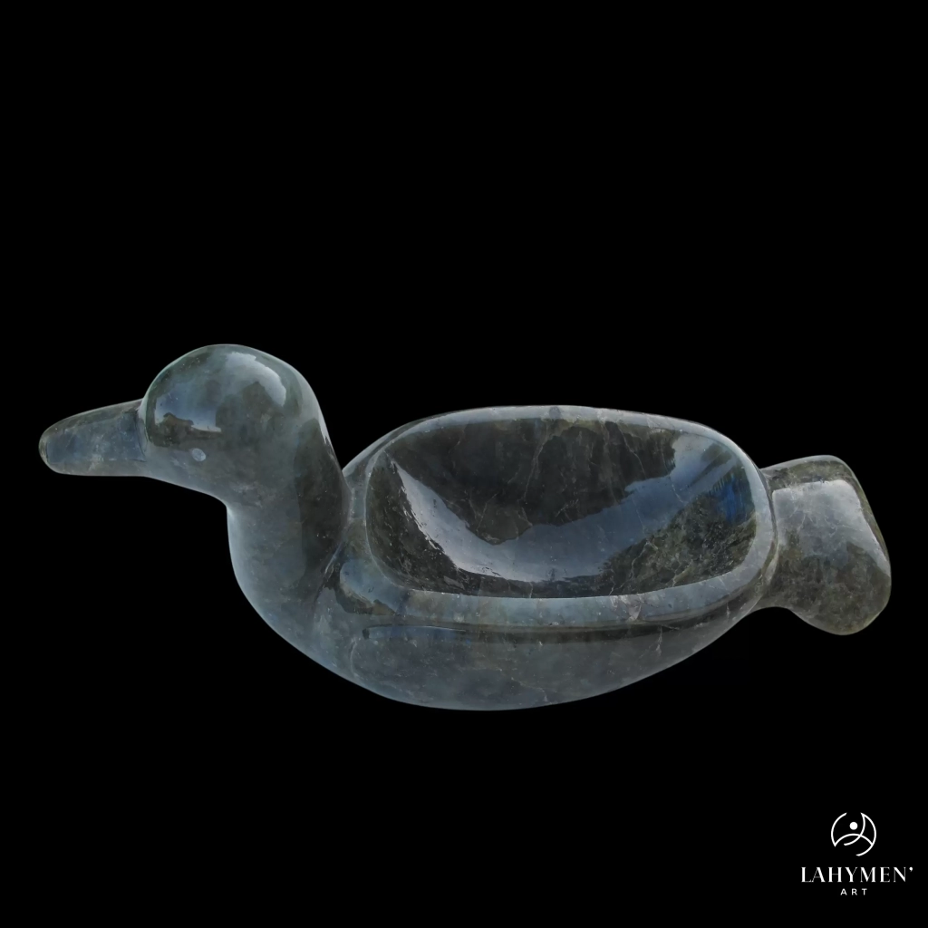 Vide poche canard labradorite